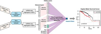 SALMON: Survival Analysis Learning With Multi-Omics Neural Networks on Breast Cancer